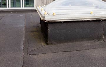 disadvantages of Pwll Melyn flat roofs