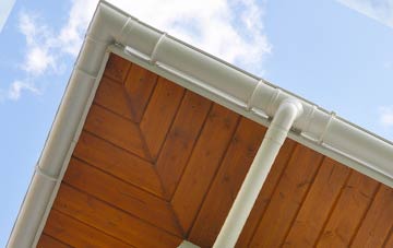 Pwll Melyn soffit types